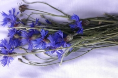 65976531_321776015392188_2456722594687090688_n