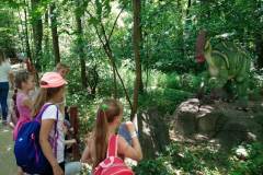 355572117_222676603941159_3422228924414682735_n