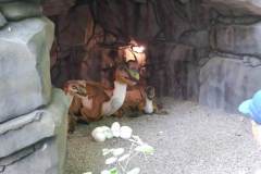 355684961_647146280643463_113236251569280483_n