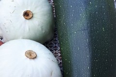 69827120_232064614407487_6447956795720728576_n