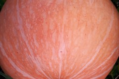 69846738_986364325028778_1578581170554142720_n