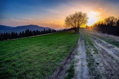 54462932_2169008336518649_7126549890343108608_n