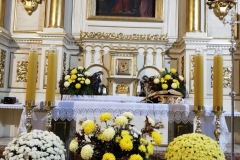 123140424_386102279240105_1708561081744751888_n