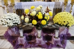 123140838_755078435074026_8566779167099088187_n