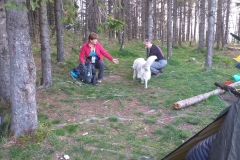 280667962_312032504465668_1307366862745262629_n