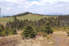 280744414_1008667436460023_1096640277170986473_n