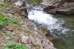 280880210_530396208802476_2158592934478730247_n