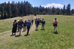 280928525_342958247906710_5341785707178325882_n