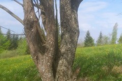 281388540_701217764483109_9115644858987063944_n