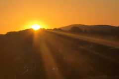 WhatsApp-Image-2026-08-12-at-20.21.25-4