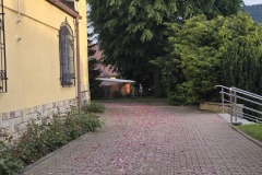 20260611_191946