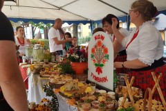 2019-08-25-16.26.13-1