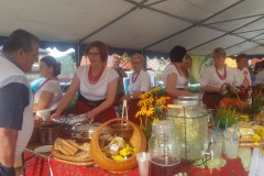 2019-08-25-17.49.51-1