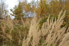 WhatsApp Image 2017-10-18 at 17.38.01