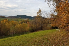 WhatsApp Image 2017-10-18 at 17.38.23 (1)