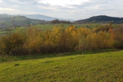 WhatsApp Image 2017-10-18 at 17.38.23