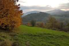 WhatsApp Image 2017-10-18 at 17.38.29