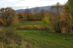 WhatsApp Image 2017-10-18 at 17.38.30