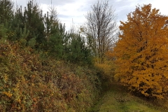 WhatsApp Image 2017-10-18 at 17.38.31