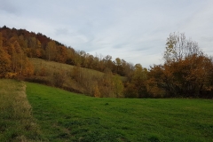 WhatsApp Image 2017-10-18 at 17.39.27