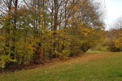 WhatsApp Image 2017-10-18 at 17.39.30