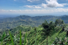 154544663_248822973452326_3660898034226757674_n