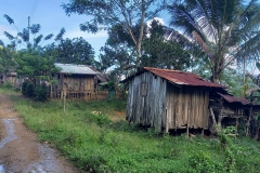 154637458_1452462965089526_5248539757300384413_n