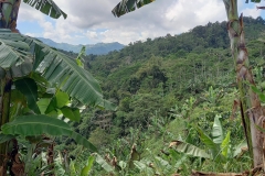 154959494_460722005288176_3243823781005309124_n