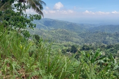 155068034_1608656236001191_5568461013630655838_n