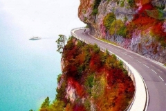 70922814_500250637477149_4885569919615238144_n