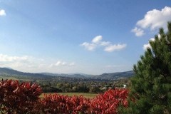 71001569_529153801220747_4678391623652999168_n