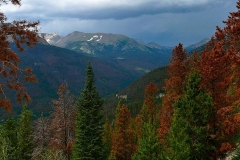 71045856_687578448423449_9188448287676432384_n