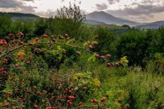 71313038_691760204655768_5146042433234010112_n