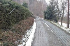 331562910_1297684497844668_4893544594972351517_n