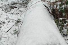 331803410_756006259460226_1137998240345718120_n