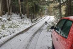 331921588_1118934506172483_1282157000663462261_n