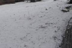 332120297_1199270567643861_9037765064698218249_n