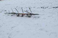 332310467_1536111886897599_874527908192334344_n