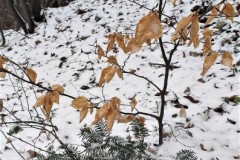 332722043_576333601196337_5657736835554649805_n