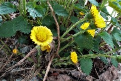 334882448_238966365359970_8400523446291970977_n-1