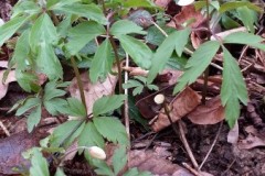 334893937_2047212852291036_5823448796451380069_n