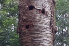 334903263_939720777232980_8566893196607469708_n-1