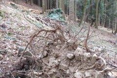 334905252_936966027446688_1050829732838843065_n