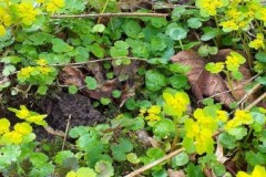 334917460_586502690206251_6538959738065035009_n-1