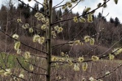 336624413_530525899018471_3636700108774450961_n