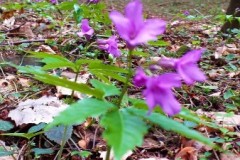 336626931_598911092295605_5849756838864580810_n-1