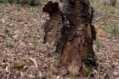 336643574_945582946469324_3618353959937106467_n-1