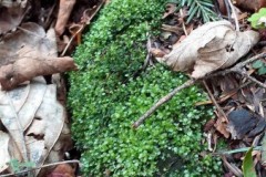 336651869_232519449307107_5072766491111560858_n-1