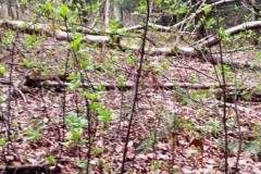 336793376_807195747561010_936644165731300580_n