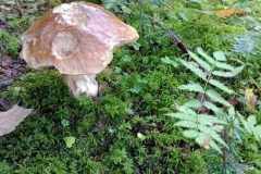 379993655_286997550953504_4506382585073540642_n